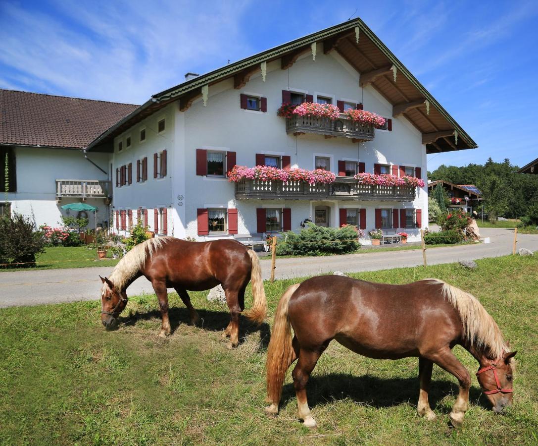Heutauer Hof Villa Siegsdorf Exterior photo